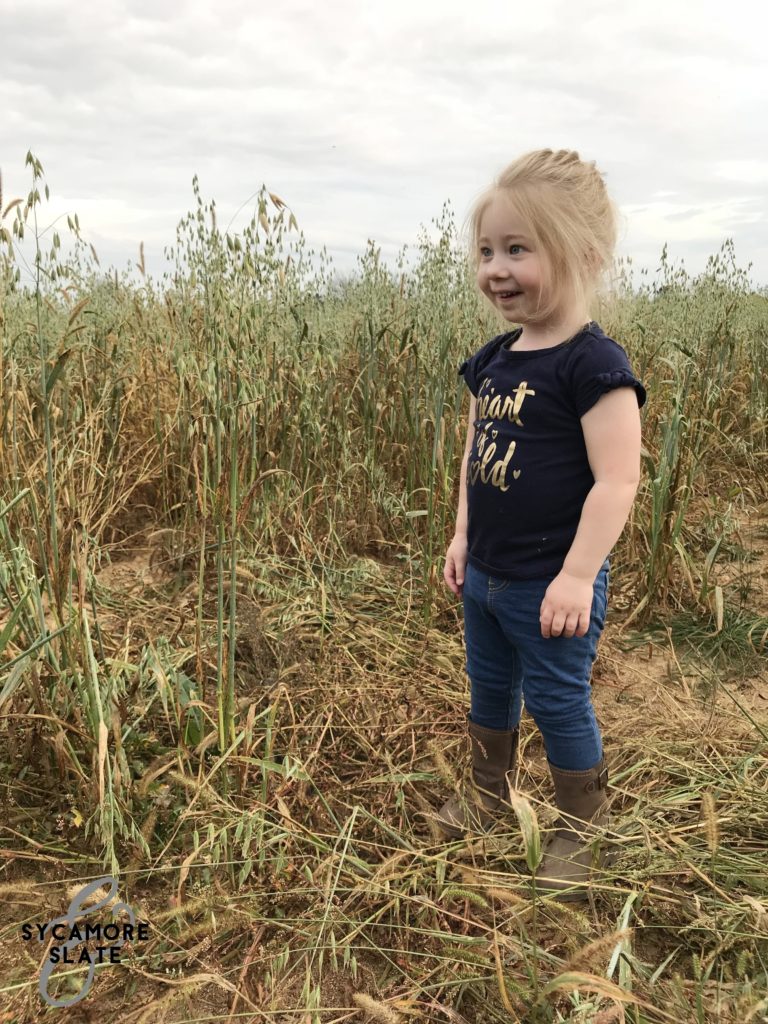 Evie in hay field