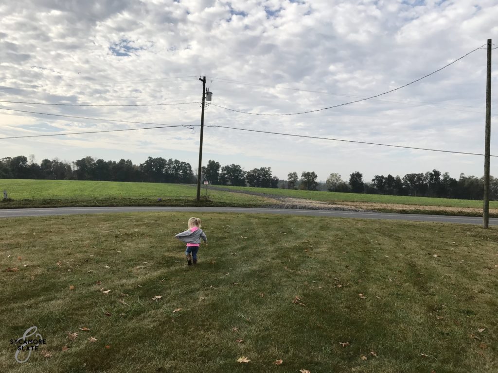 Evie in the fields