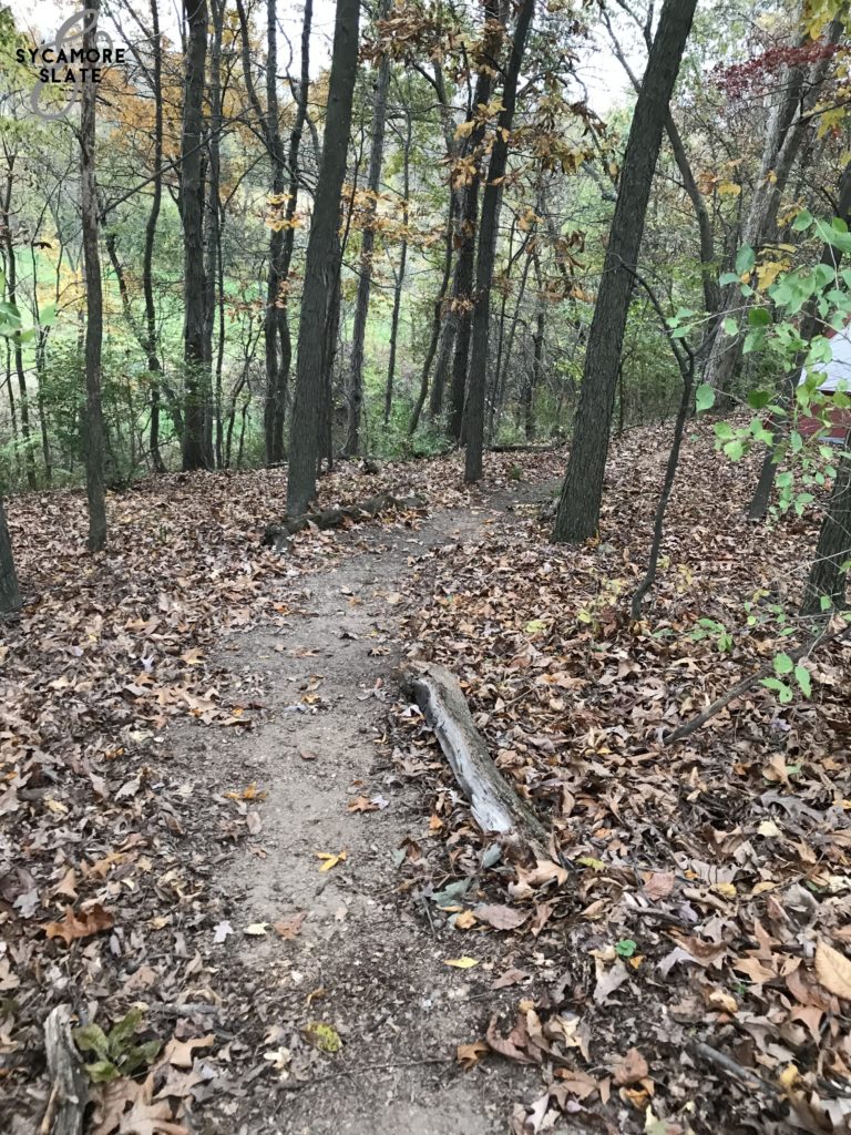 woods path