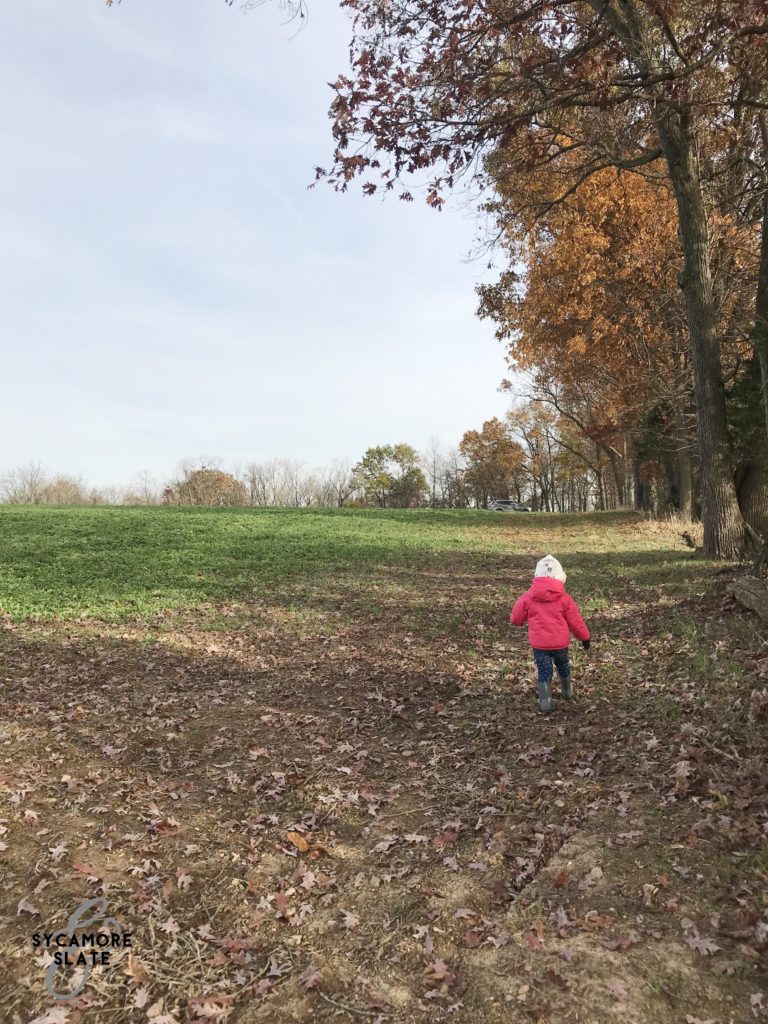 Evie playing in the field