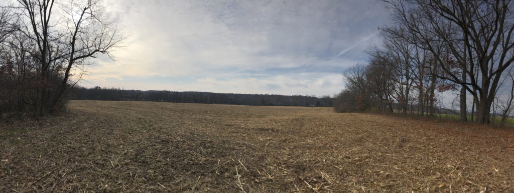 field behind the house