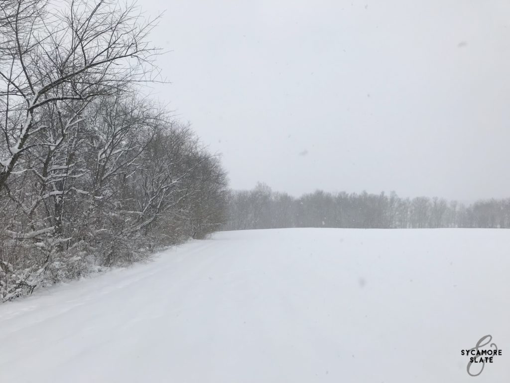 snowy field