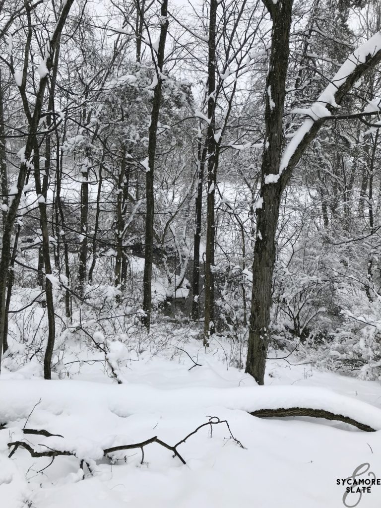 creek from hill