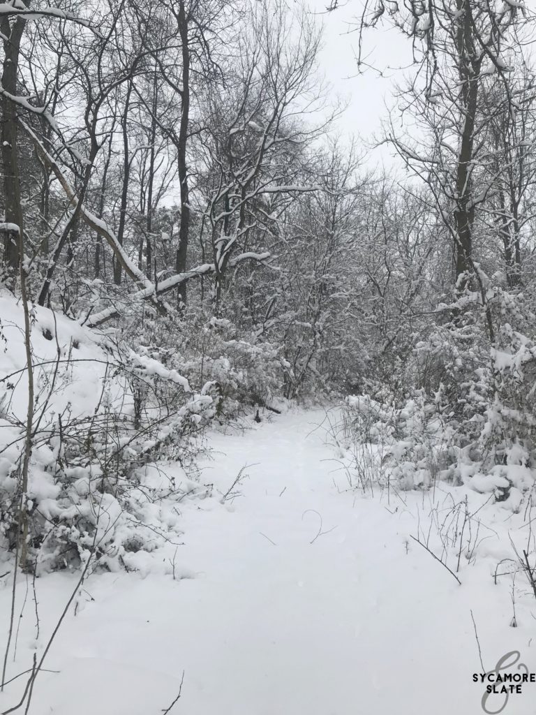 windy path