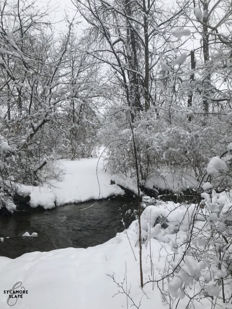 path through the stream