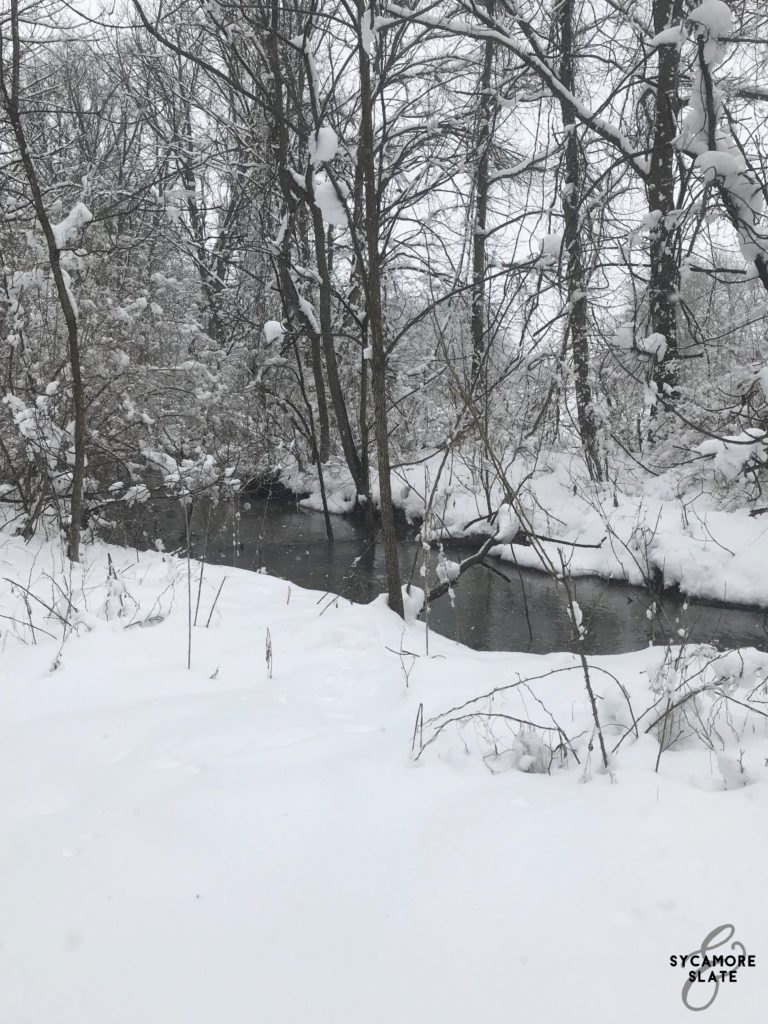 the meadow stream