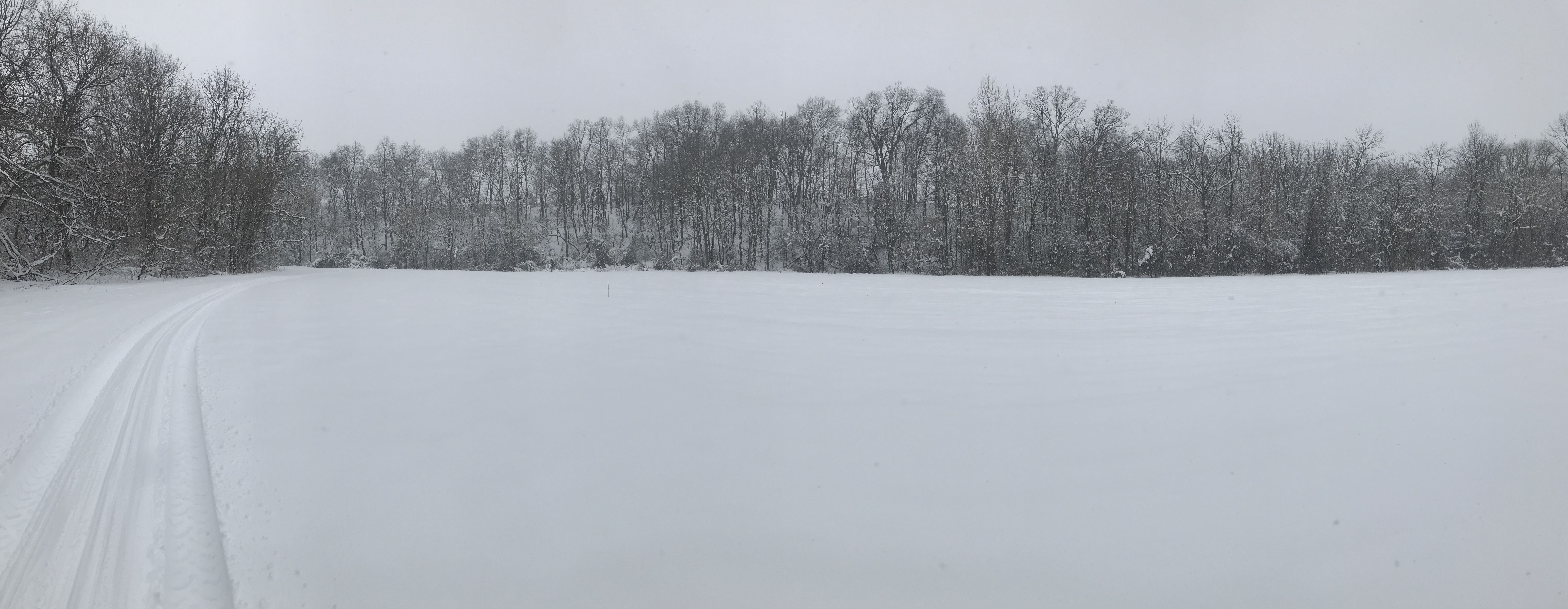 panorama of meadow