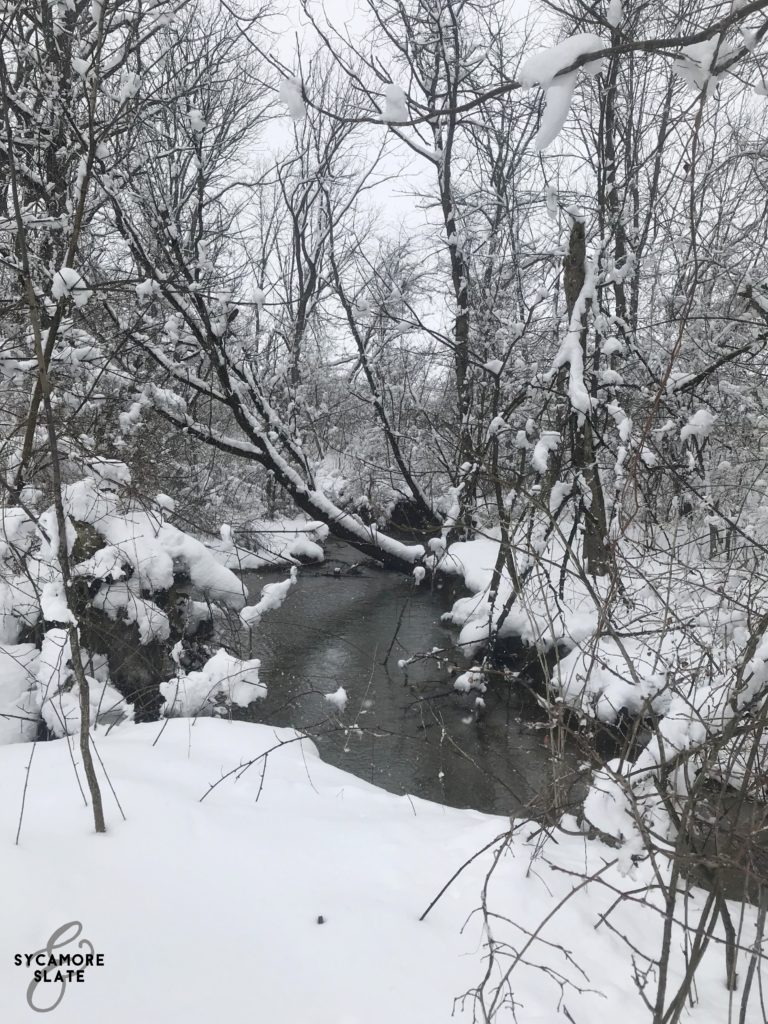 snowy stream