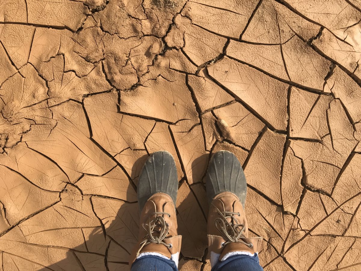 mud drying