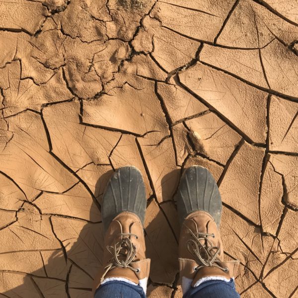 mud drying