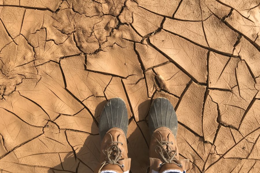 mud drying