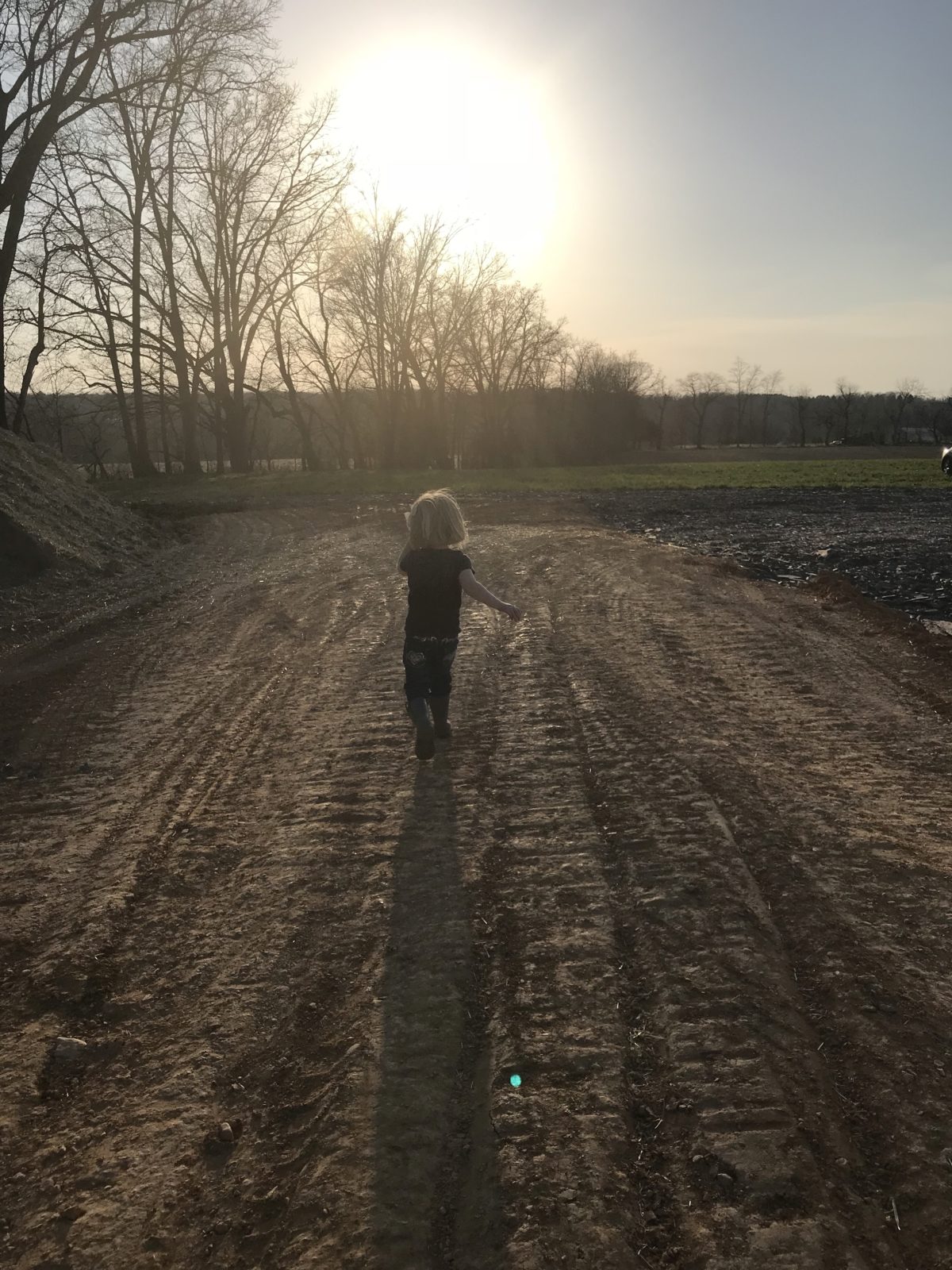 breaking ground at the farm