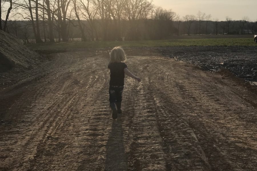 breaking ground at the farm