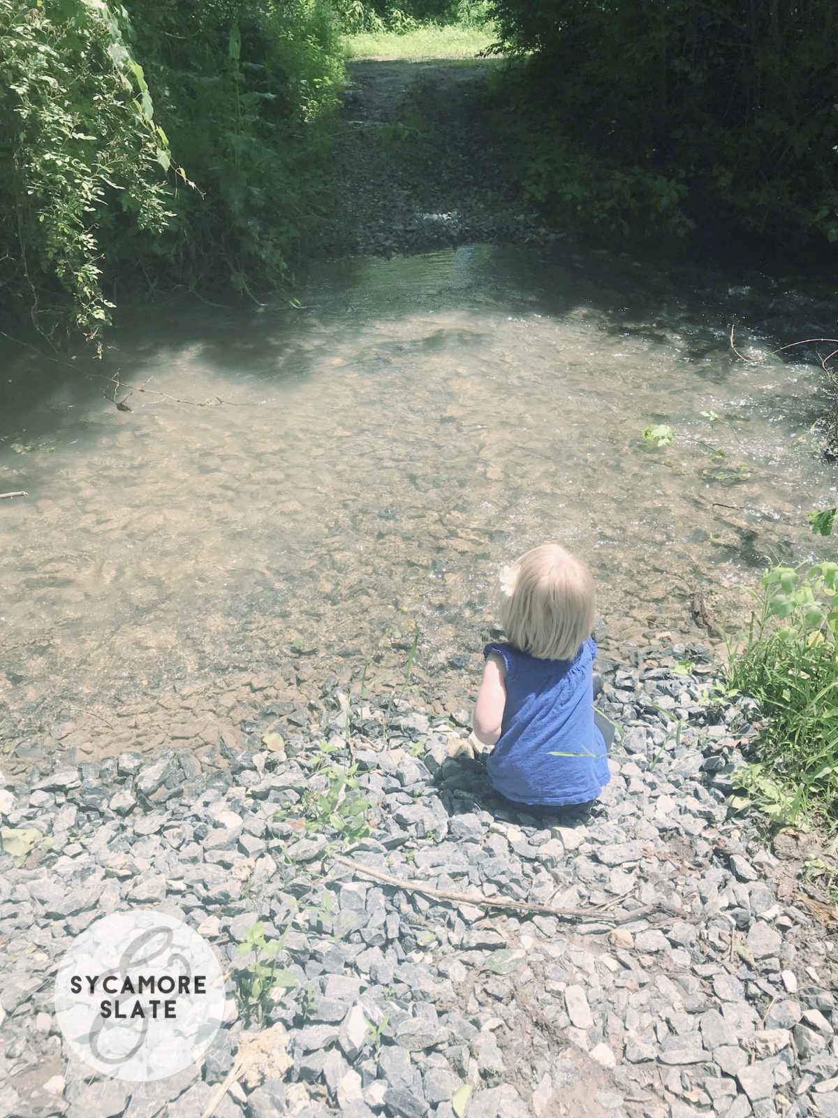 Evie at the creek