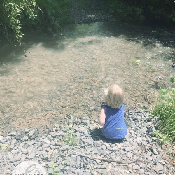Evie at the creek