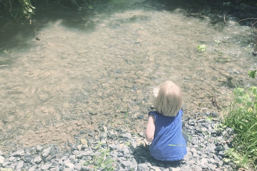 Evie at the creek