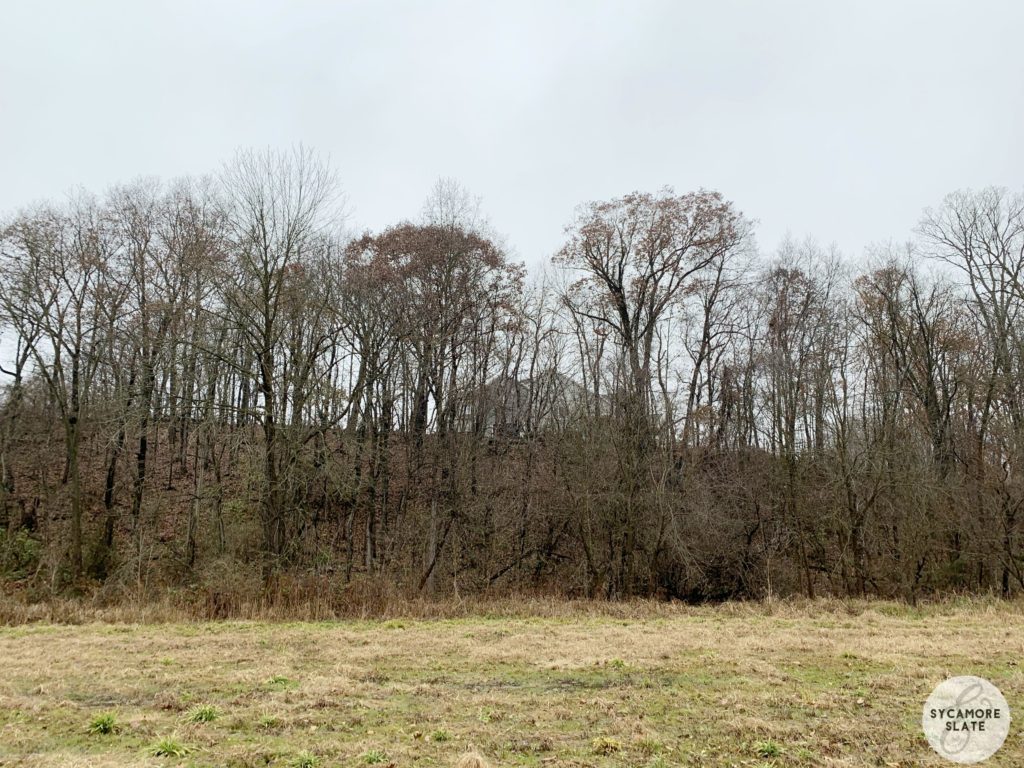 house from the meadow