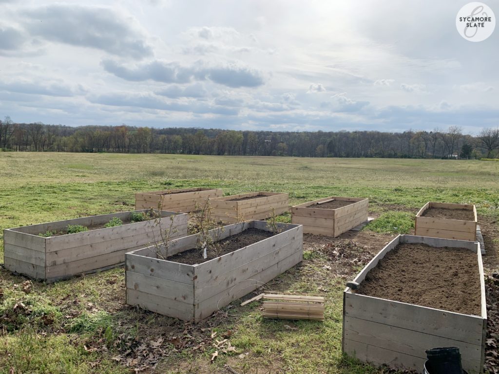 raised beds in garden