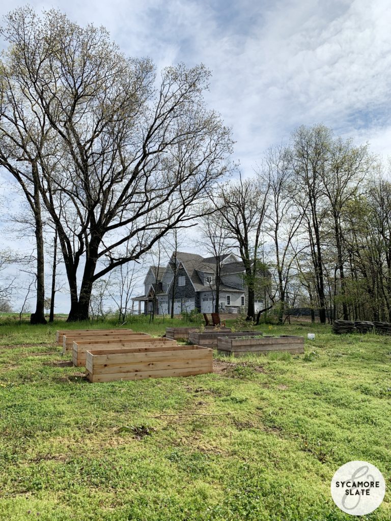 raised bed Garden beside house