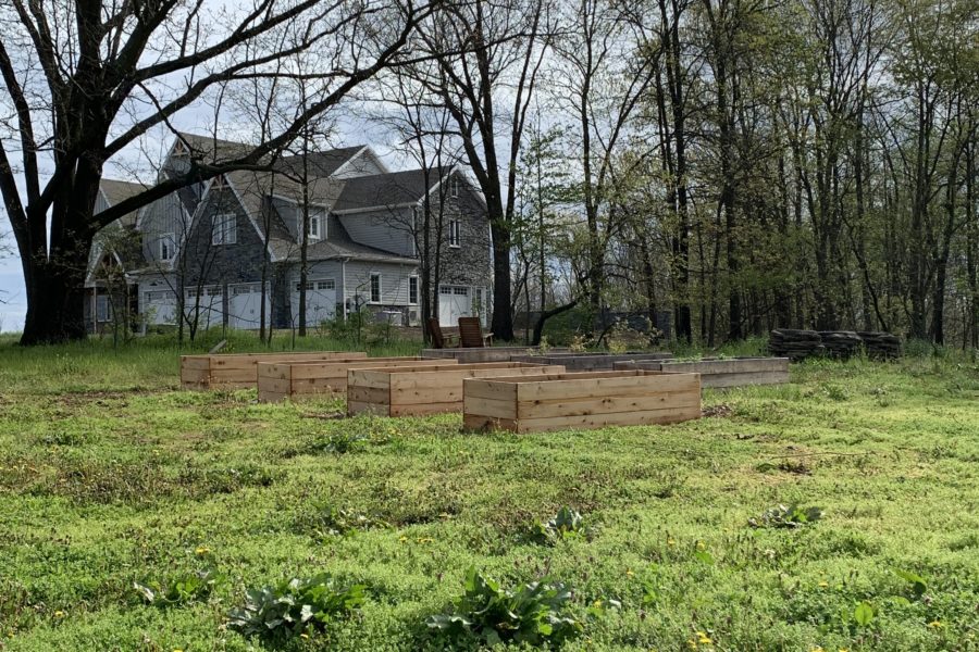 raised bed garden