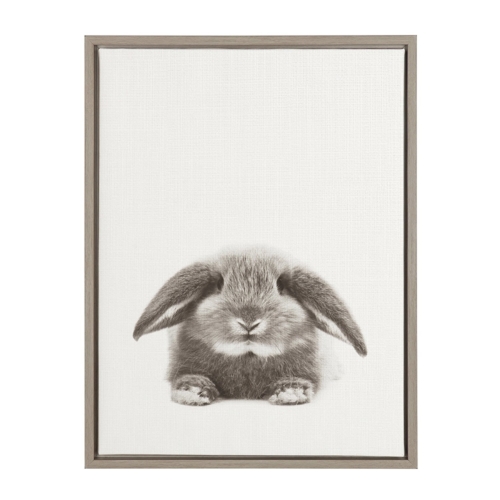 bunny framed canvas